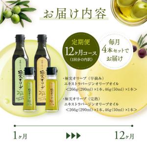 ふるさと納税 【定期便12ヶ月コース】エキスト...の詳細画像1