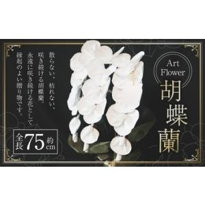 ふるさと納税 アートフラワー胡蝶蘭 胡蝶蘭 コチョウラン 蘭 アートフラワー 手作り 開店祝い 就任祝い 周年祝い スーパーフラワー 花 熊本県