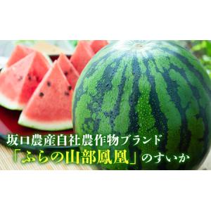 ふるさと納税 【2026年夏発送】ふらの山部の...の詳細画像3