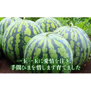 ふるさと納税 【2026年夏発送】ふらの山部の...の詳細画像4