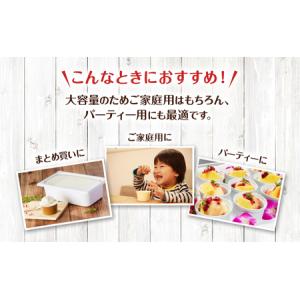 ふるさと納税 定期便 12ヵ月 業務用 ジェラ...の詳細画像2