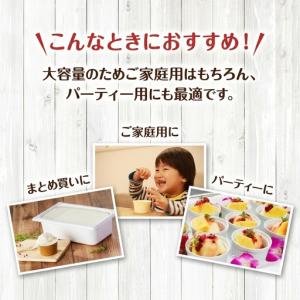 ふるさと納税 ジェラート 業務用 フレーバー6...の詳細画像2