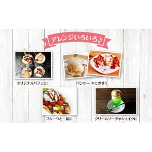 ふるさと納税 定期便 12ヵ月 業務用 ジェラ...の詳細画像3