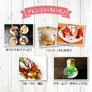 ふるさと納税 ジェラート 業務用 フレーバー6...の詳細画像3