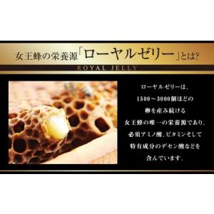 ふるさと納税 【11回定期便】 ローヤルゼリー...の詳細画像3