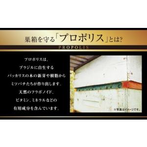 ふるさと納税 【11回定期便】 ローヤルゼリー...の詳細画像4