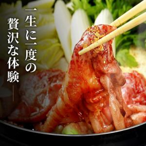 ふるさと納税 【和牛セレブ】能登牛 半頭買い(...の詳細画像3