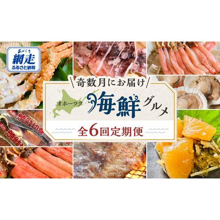 ふるさと納税 【発送月固定定期便】オホーツク海鮮グルメ定期便 奇数月にお届け全6回 ABAO127 ...