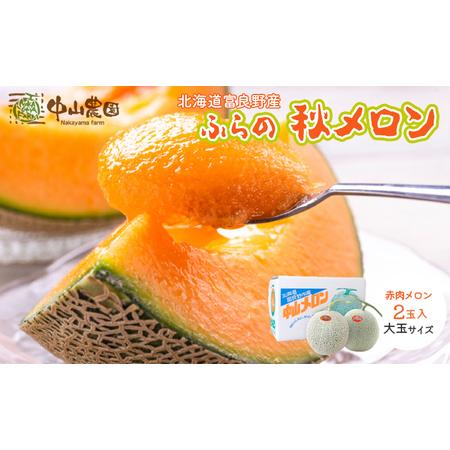 ふるさと納税 テレビで紹介されました！【2026年秋発送】北海道 富良野産 赤肉 秋メロン 2玉 計...