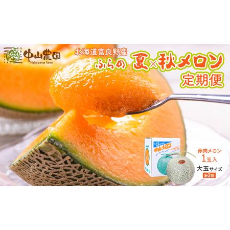 ふるさと納税 【2026年7〜9月 全2回】計2回 ふらの 夏× 秋メロン 定期便 ≪計2玉≫ 北海...