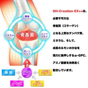 ふるさと納税 GH-Creation EX++...の詳細画像2