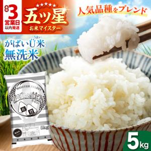 ふるさと納税 がばいU米(うまい)【無洗米】 5...の商品画像