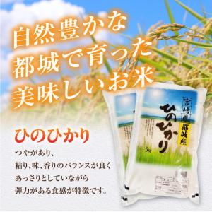 ふるさと納税 都城産ひのひかり10kg(5kg...の詳細画像1