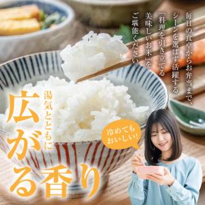 ふるさと納税 都城産ひのひかり10kg(5kg...の詳細画像3