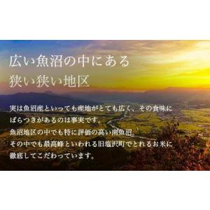 ふるさと納税 【定期便】令和7年産 南魚沼産コ...の詳細画像2