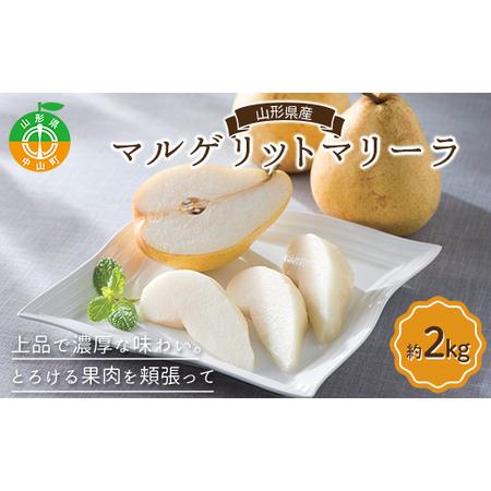 ふるさと納税 《先行予約》山形県産 マルゲリットマリーラ約2kg（4〜6個） 洋梨 西洋梨 洋ナシ ...