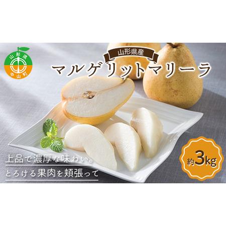 ふるさと納税 《先行予約》山形県産 マルゲリットマリーラ約3kg（6〜9個）洋梨 西洋梨 洋ナシ 洋...