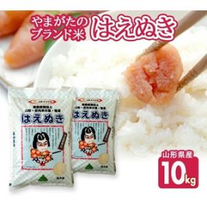 ふるさと納税 SC0695　令和7年産【精米】はえぬき　10kg(5kg×2袋) JS 山形県酒田市