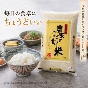 ふるさと納税 栃木県産 ブレンド米(10kg)...の詳細画像1