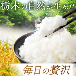 ふるさと納税 栃木県産 ブレンド米(10kg)...の詳細画像2