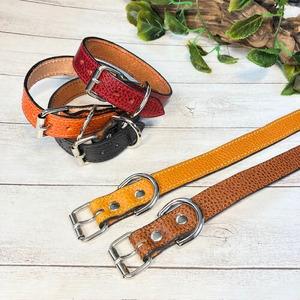 ふるさと納税 選べるサイズのイタリア本革の犬用首輪 (25mm幅) 小型/中型/大型　【ドラーロ】 犬用首輪 首輪 犬 ドラーロ SSサイズ橙色 神奈川県寒川町