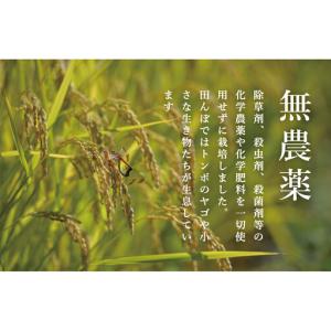 ふるさと納税 【定期便/令和8年 新米】関智晴...の詳細画像3