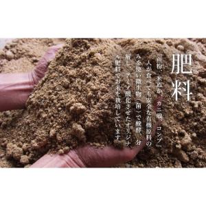 ふるさと納税 【定期便/令和8年 新米】関智晴...の詳細画像4