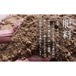 ふるさと納税 【定期便/令和8年 新米】関智晴...の詳細画像4