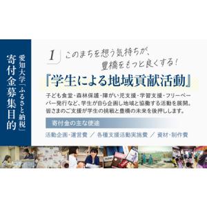 ふるさと納税 ≪返礼品無し≫【愛知大学】豊橋市...の詳細画像2