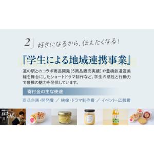 ふるさと納税 ≪返礼品無し≫【愛知大学】豊橋市...の詳細画像3
