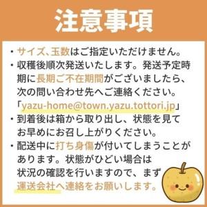 ふるさと納税 Y1016 二十世紀梨(赤秀) ...の詳細画像3