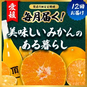 ふるさと納税 【発送月固定定期便】みかんのある暮らし全12回【H31-33】【配送不可地域：離島】【4000707】 YWTAC022 愛媛県八幡浜市