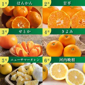 ふるさと納税 【発送月固定定期便】みかんのある...の詳細画像1