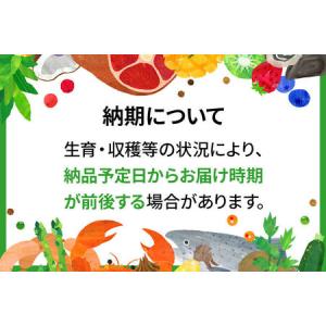 ふるさと納税 ※R8産 新米予約※ 《定期便1...の詳細画像1