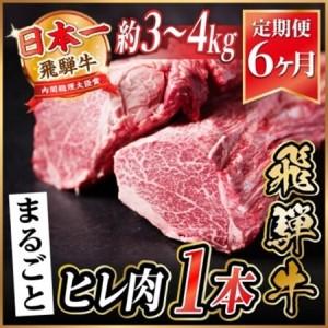 ふるさと納税 【毎月定期便】飛騨牛 ヒレ1本(約3〜4kg)【シャトーブリアン＆ヒレ】冷蔵便 ステーキ全6回【配送不可地域：離島】【4084144】 岐阜県羽島市