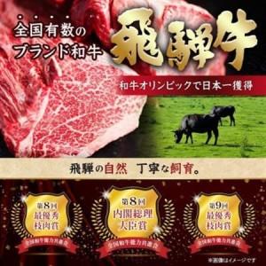 ふるさと納税 【2ヵ月毎定期便】飛騨牛 ヒレ1...の詳細画像3