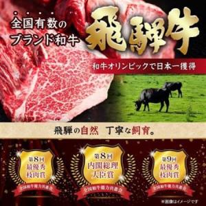 ふるさと納税 【2ヵ月毎定期便】飛騨牛 ヒレ1...の詳細画像3