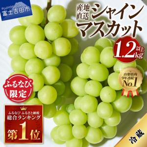 ふるさと納税 【ふるなび限定】 シャインマスカッ...の商品画像