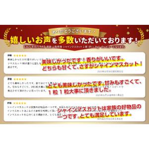 ふるさと納税 【ふるなび限定】 シャインマスカ...の詳細画像2