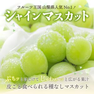 ふるさと納税 【ふるなび限定】 シャインマスカ...の詳細画像3