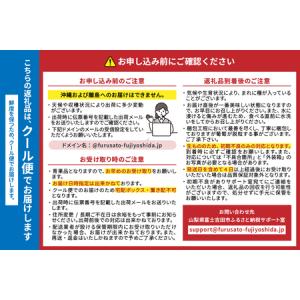 ふるさと納税 【ふるなび限定】 シャインマスカ...の詳細画像4