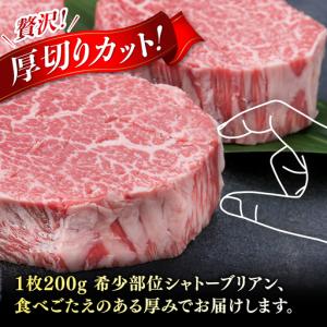 ふるさと納税 極厚 シャトーブリアン 約200...の詳細画像1