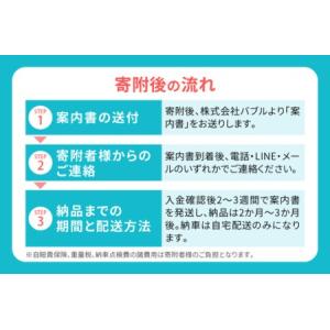ふるさと納税 電動トゥクトゥク《VIVEL》C...の詳細画像1
