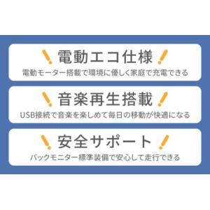 ふるさと納税 電動トゥクトゥク《VIVEL》C...の詳細画像3