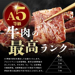 ふるさと納税 【小分け】<A5等級>鹿児島県産...の詳細画像3
