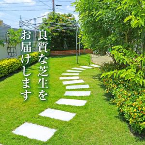 ふるさと納税 【10月から5月に発送】 タマリ...の詳細画像2