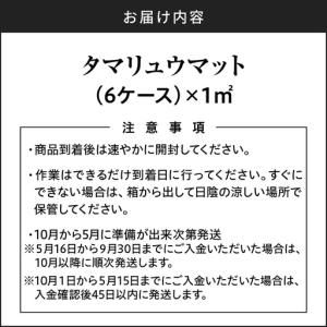 ふるさと納税 【10月から5月に発送】 タマリ...の詳細画像4
