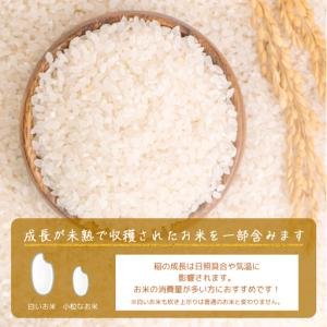 ふるさと納税 【無洗米】訳あり 10kg [a...の詳細画像4