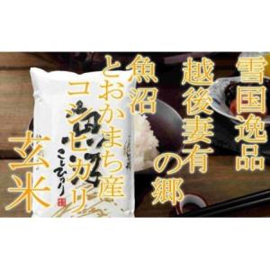 ふるさと納税 【令和8年産 先行予約】●定期便・玄米●【雪国逸品10kg×12ヶ月】 越後妻有の郷 魚沼十日町産コシヒカリ お米 ご飯 良質 ミ.. 新潟県十日町市