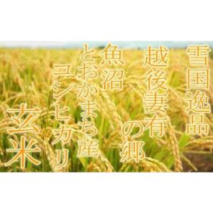 ふるさと納税 【令和8年産 先行予約】●定期便...の詳細画像3